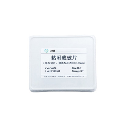 粘附載玻片（冰切切片、特規(guī)大玻片）