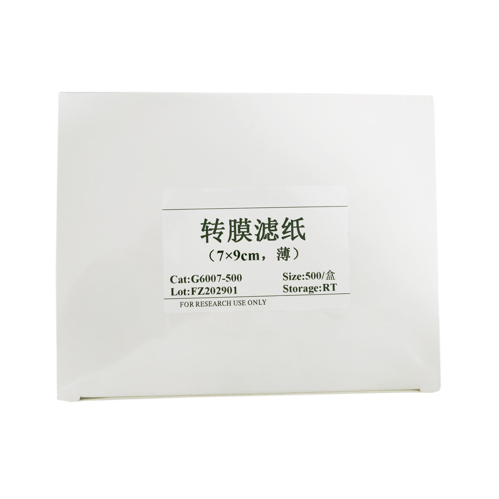 轉(zhuǎn)膜濾紙（?。? title=